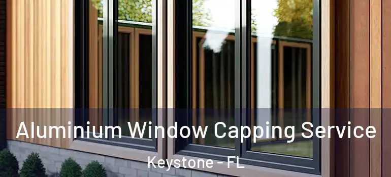  Aluminium Window Capping Service Keystone - FL