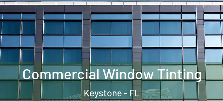  Commercial Window Tinting Keystone - FL