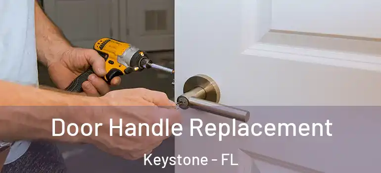  Door Handle Replacement Keystone - FL
