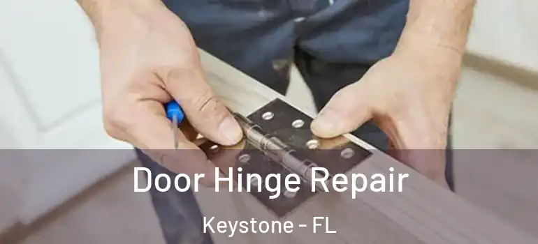  Door Hinge Repair Keystone - FL