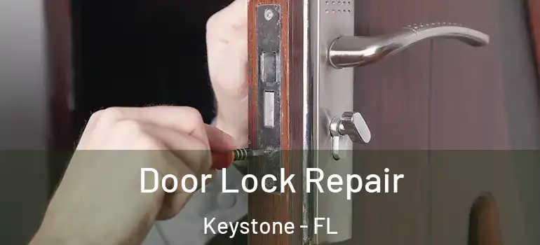  Door Lock Repair Keystone - FL