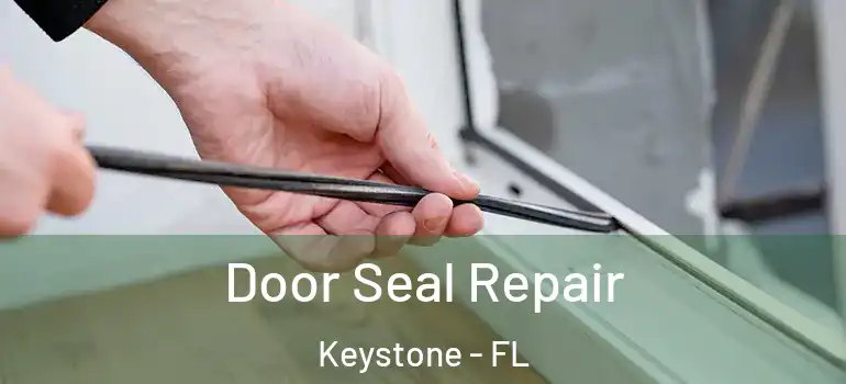 Door Seal Repair Keystone - FL