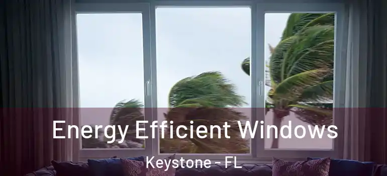  Energy Efficient Windows Keystone - FL