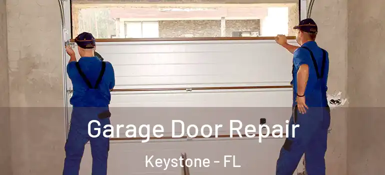  Garage Door Repair Keystone - FL