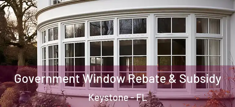  Government Window Rebate & Subsidy Keystone - FL