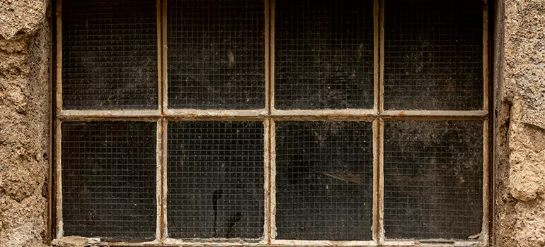 Traditional Double Front Doors in Keystone, FL