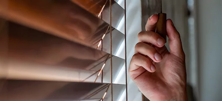 Double Roller Blinds in Keystone, FL