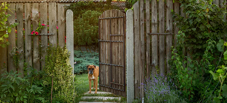 Winter Garden Garage Door Repair in Keystone,[location field=state]