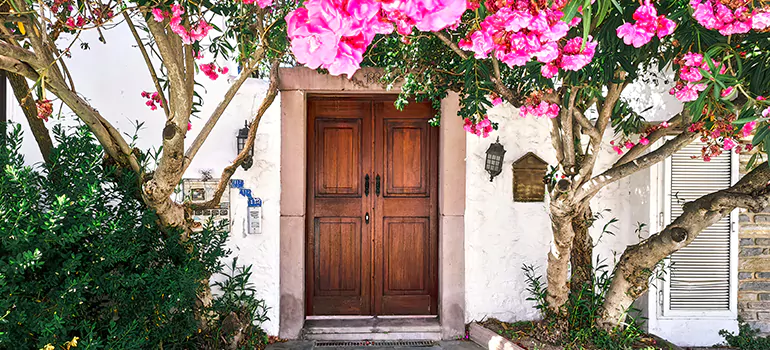 Traditional 4 Panel Internal Doors in Keystone, FL