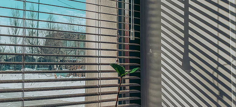 Commercial Window Blinds in Keystone, FL