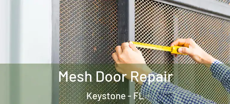  Mesh Door Repair Keystone - FL