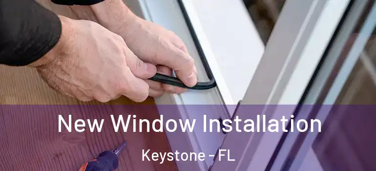 New Window Installation Keystone - FL
