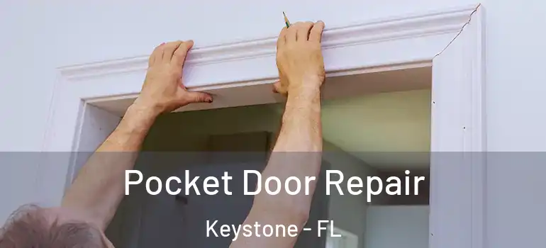  Pocket Door Repair Keystone - FL