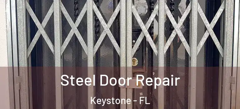  Steel Door Repair Keystone - FL