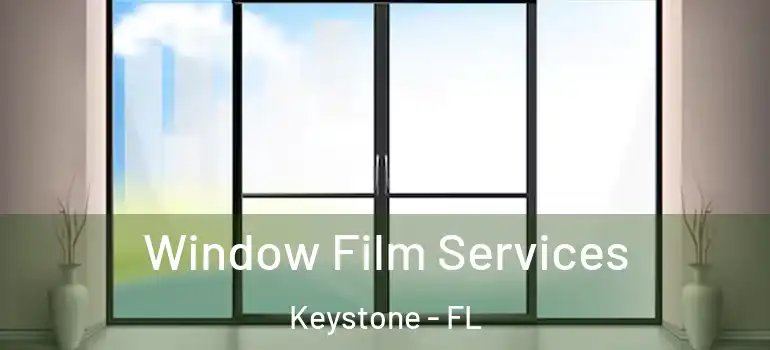  Window Film Services Keystone - FL