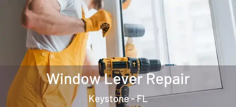  Window Lever Repair Keystone - FL