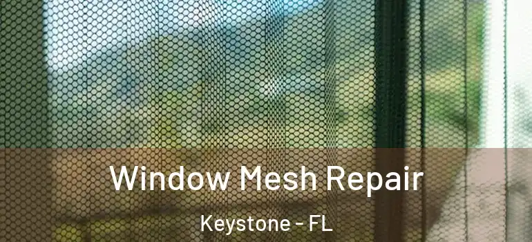  Window Mesh Repair Keystone - FL