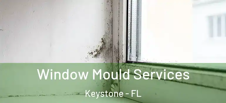 Window Mould Services Keystone - FL